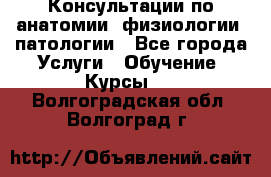 Консультации по анатомии, физиологии, патологии - Все города Услуги » Обучение. Курсы   . Волгоградская обл.,Волгоград г.